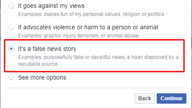 Facebook screen for reporting false news story