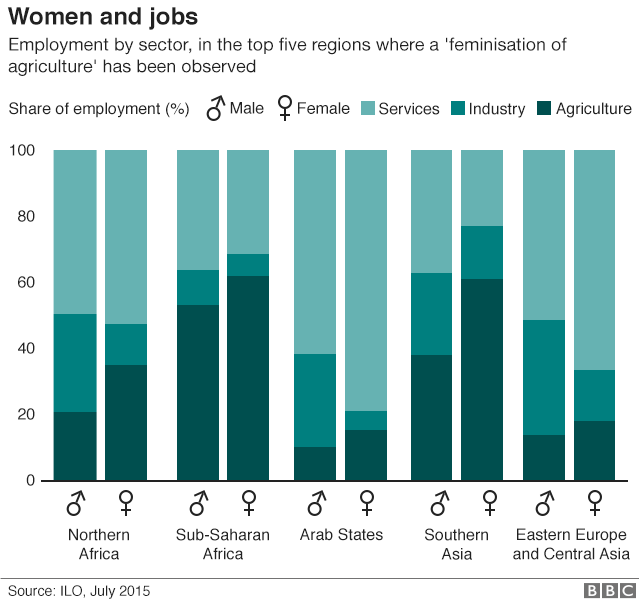 Women and jobs, by region and sector compared to men. Graphic.