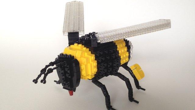 Wasp by Thomas Poulsom