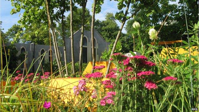 Nigel Dunnett's garden at the RHS flower show