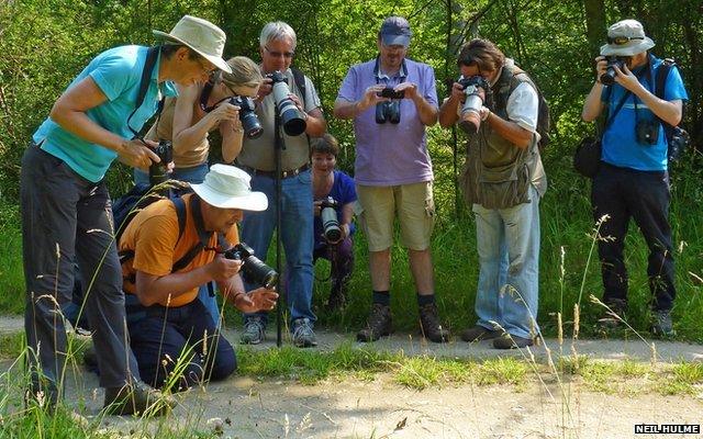 Purple Emperor spotters