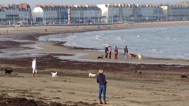 Dog owners on Weymouth beach