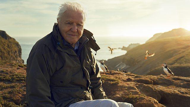 David Attenborough