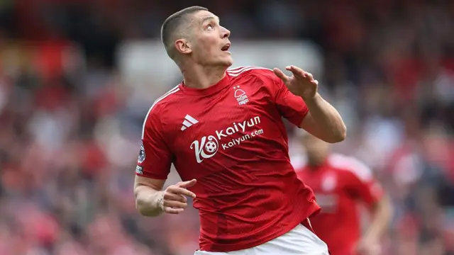 Nikola Milenkovic