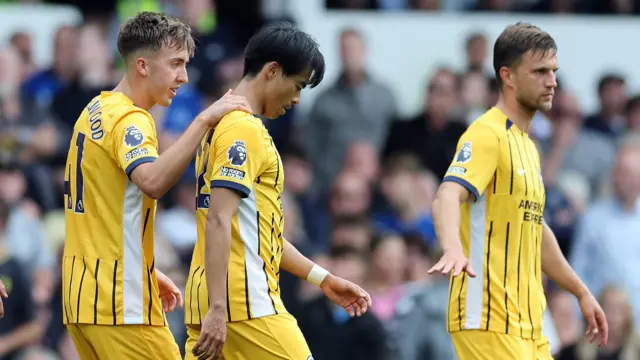 Kaoru Mitoma celebrates scoring for Brighton against Everton