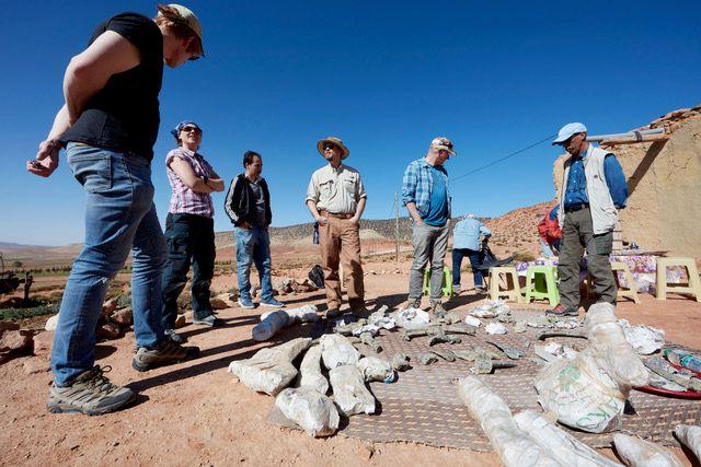 Six scientists standing in the sunshine around a pile of white rock on a sandy surface in the foreground. Behind them is a brilliant blue sky.