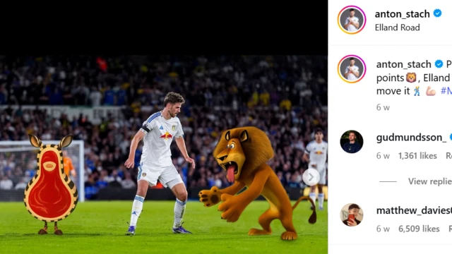 Anton Stach's Instagram post of him surrounded by cartoon characters from the jungle. He writes he is "on the hunt" for three points to fit in with the images.