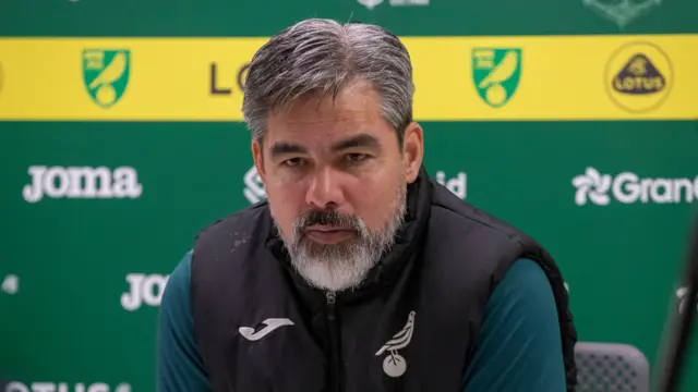 Norwich City head coach David Wagner.