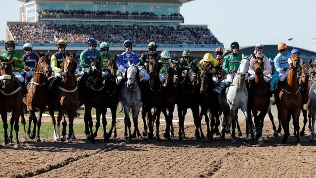 The Grand National start line with horses lined up. The grand stand is behind them in the distance.