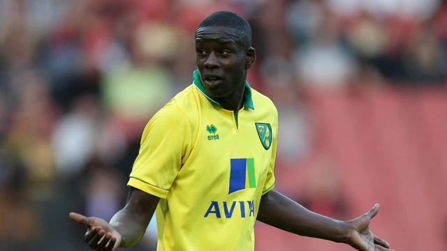 Leon Barnett playing for Norwich