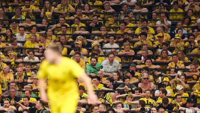 Bodo/Glimt supporters