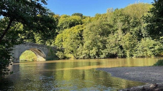 The designated bathing site on the River Teme in Ludlow 