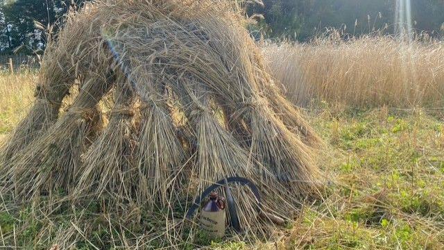 Adag arbhair is corran 