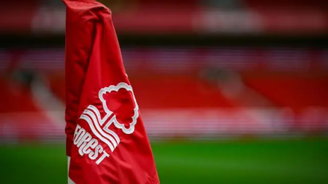 Nottingham Forest flag general view