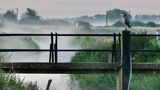 A small waterway is on the left with grass banks either side. There is a wooden bridge going across the water which has a grey heron perched on one of the posts to the right. 