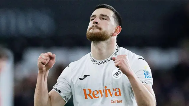 Swansea City striker Zan Vipotnik celebrates