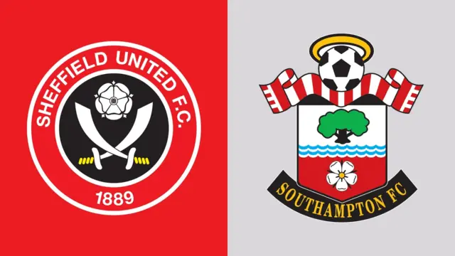 Club badges banner