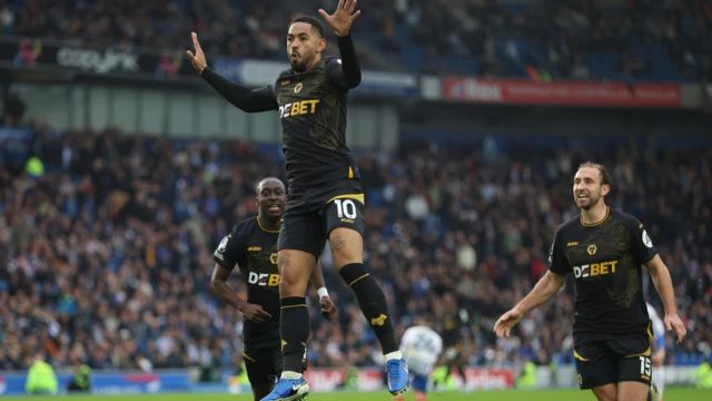 Wolves players celebrate scoring against Brighton