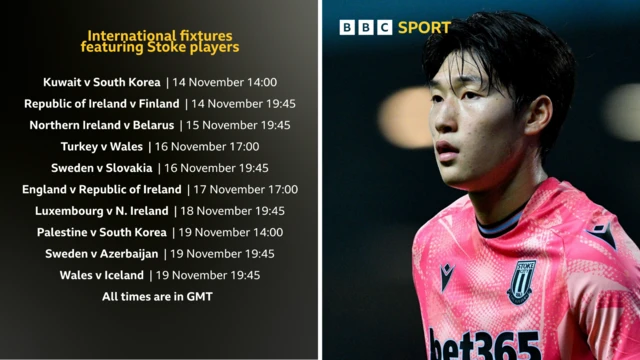 Stoke City player's international duty fixtures