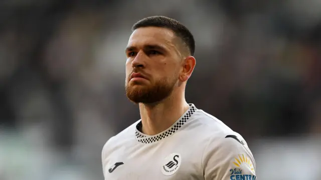 Swansea City striker Zan Vipotnik