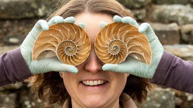 Dr Frances McIntosh holding shells to her eyes