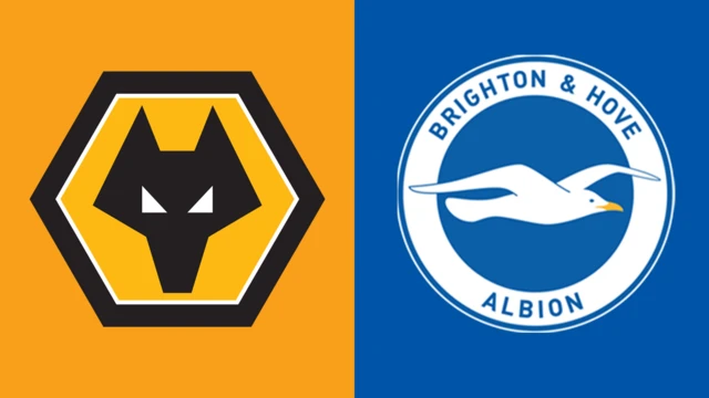 Wolves v Brighton fixture graphic