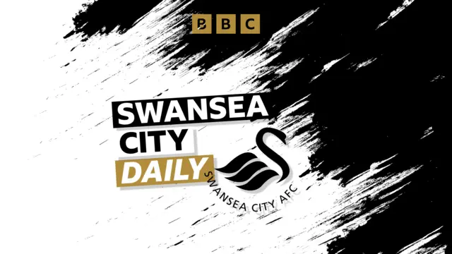 Swansea City Daily artwork