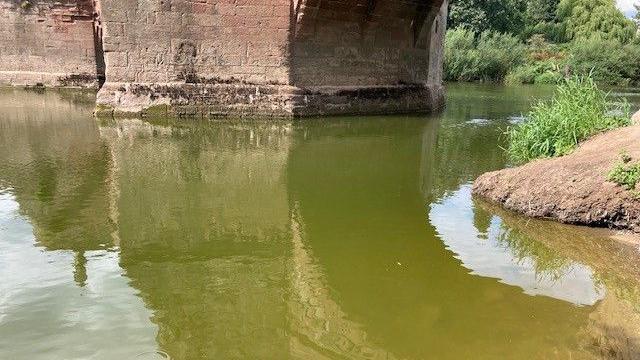 A green river at Ross on Wye