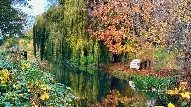 A stunning photo of a stretch of canal in Stroud with colourful Autumn leaves reflected off the water and a boat on its side on the canal bank