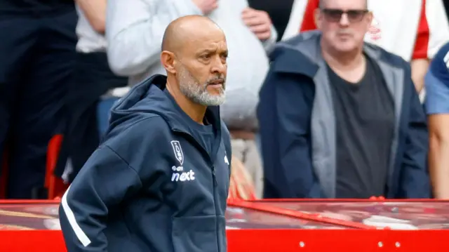 Nuno Espirito Santo looks on during match