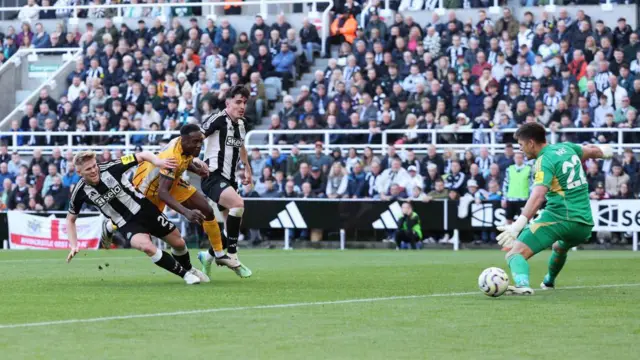 Danny Welbeck scoring a goal for Brighton