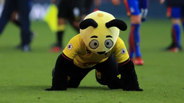 Harry the Hornet