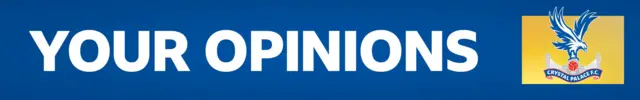 Your Crystal Palace opinions banner