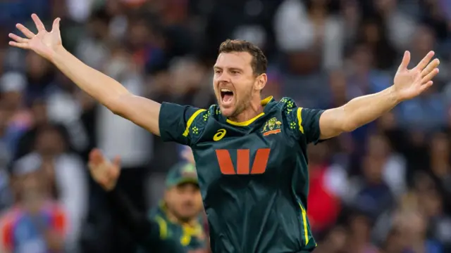 Josh Hazlewood appeals for a wicket in the T20 against India