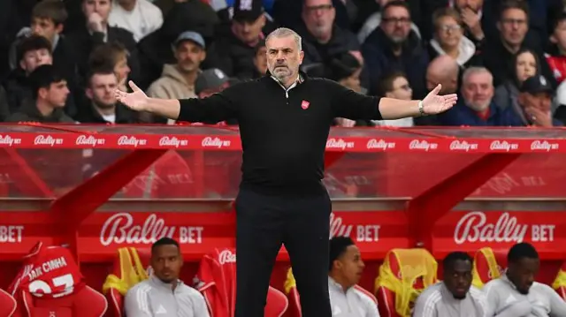Ange Postecoglou reacts during the Sunderland loss