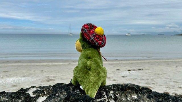 Stuffed Nessie toy on beach