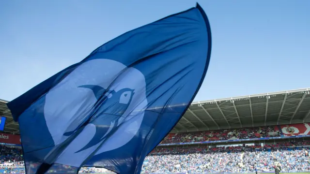 Some fans want a change of ownership at Cardiff City