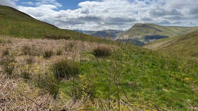 Low Fell, Lake District