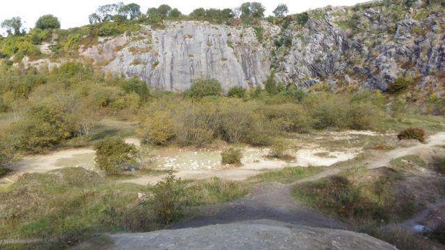 A view of Radford Quarry in Plymouth. There are rocks in the background and areas flowery grassland in-between pavements.