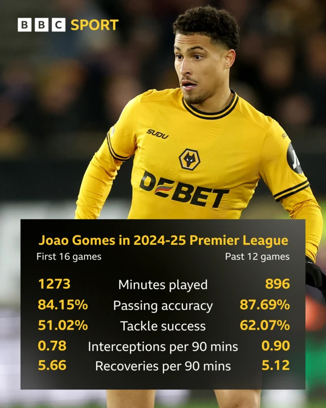 Joao Gomes stats in Premier League 2024-25 season