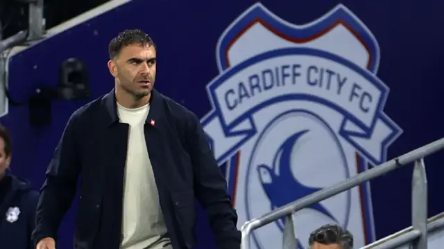 Cardiff City interim coach Omer Riza