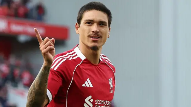 Darwin Nunez celebrates a goal for Liverpool
