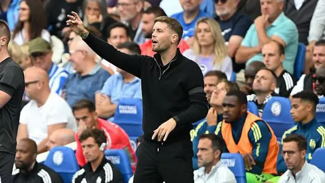 Fabian Hurzeler, Manager of Brighton & Hove Albion gestures during the Premier League match between Brighton & Hove Albion and Fulham at Amex Stadium