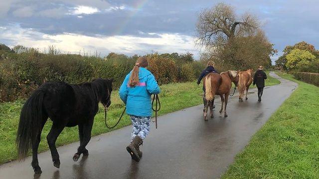 A girl wearing a blue coat walking along a country road with a black horse, while two other girls with brown horses walk in front.