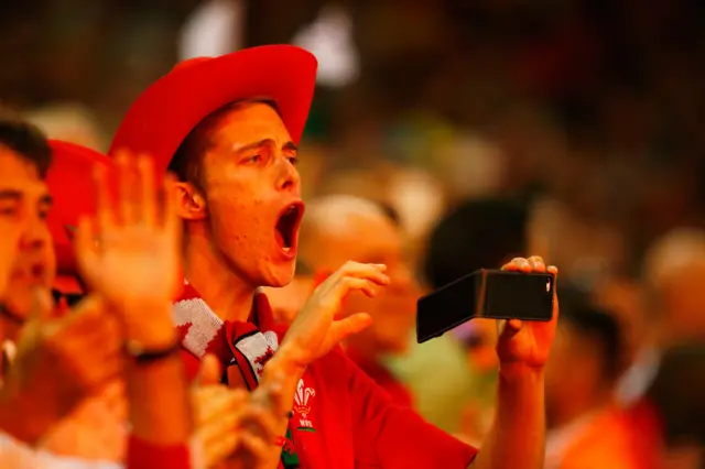 A Wales fan