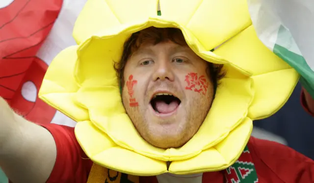 A Wales rugby fan
