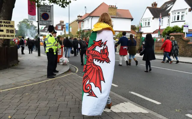 Wales fan