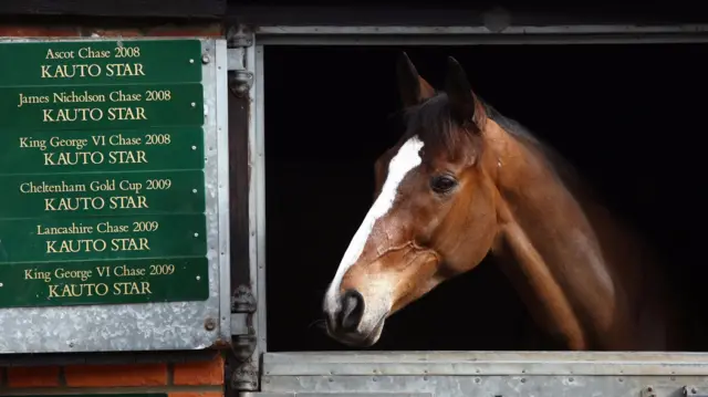 Kauto Star