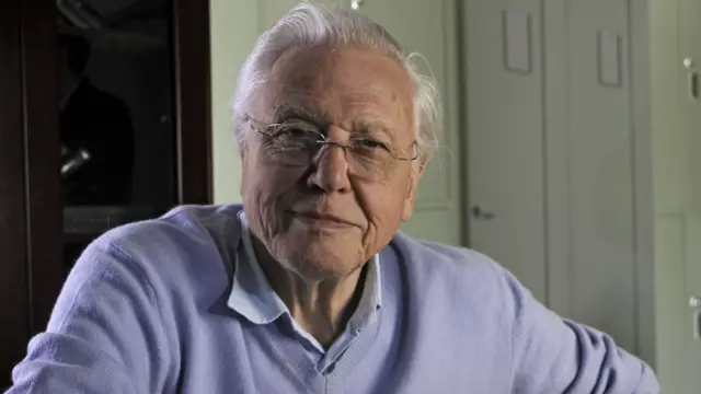 David Attenborough