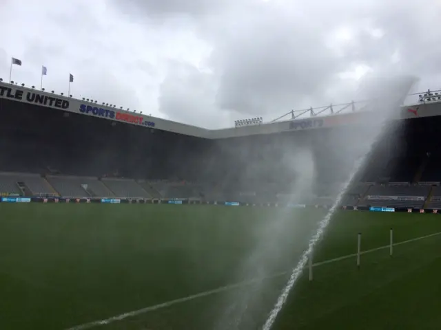 St James' Park pitch